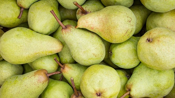 Frutas climatéricas más comunes